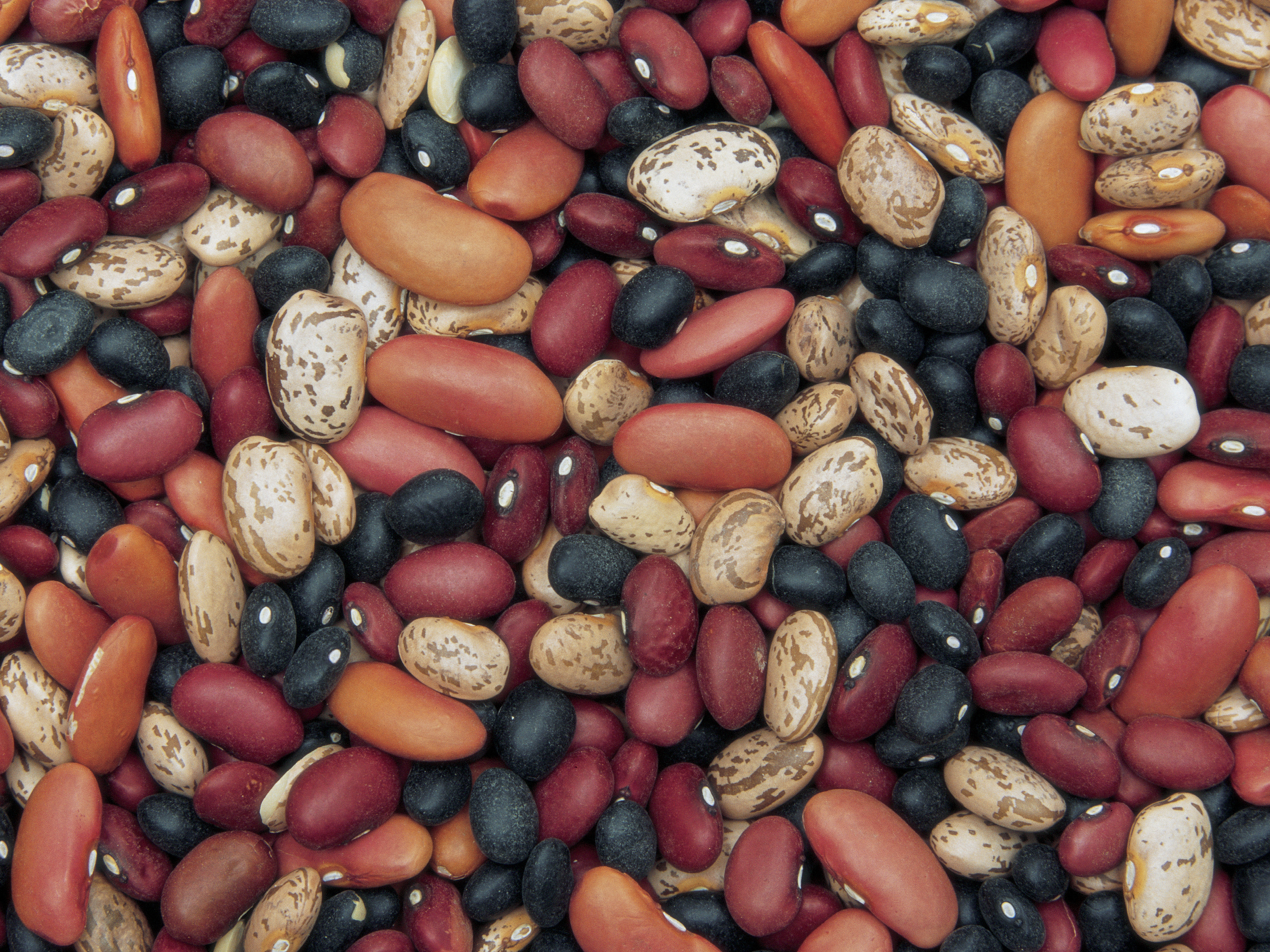 What is the way to remove gas from pinto beans?