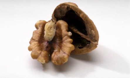 walnuts powerfood
