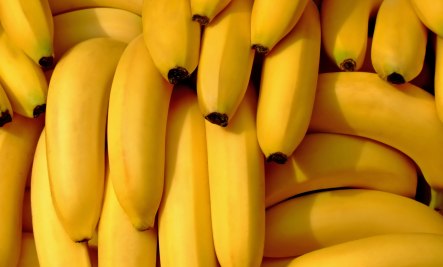 banana pudding vegan