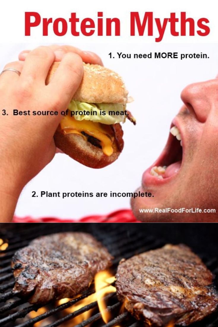 Protein Myth