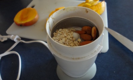 oatmeal and almonds in grinder - mango mask