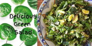 Delicious ﻿Green Salad