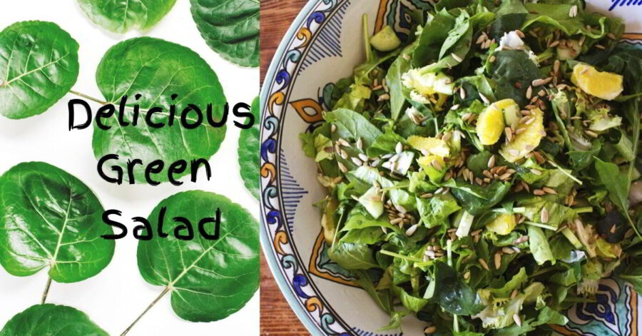 Delicious ﻿Green Salad