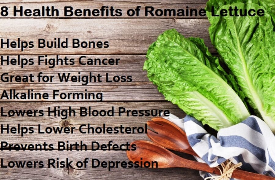 8 salad greens and their benefits
