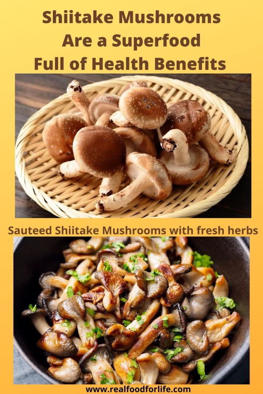 Shiitake Mushrooms 